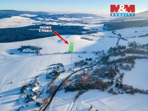 Prodej pozemku pro bydlení, Králíky - Dolní Boříkovice, 8432 m2