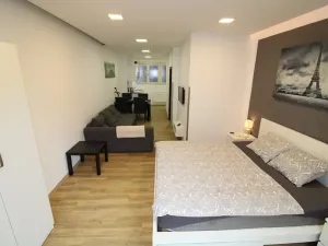 Pronájem bytu 1+kk, Praha - Nové Město, Opletalova, 35 m2