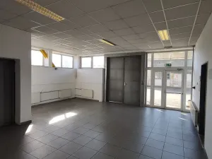Pronájem výrobních prostor, Strakonice - Strakonice II, Tovární, 4035 m2
