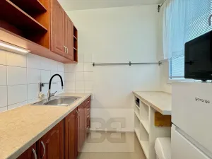 Pronájem bytu 1+1, Brno, Haškova, 30 m2
