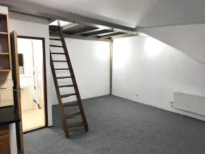 Pronájem bytu 1+kk, Slaný, Palackého, 25 m2