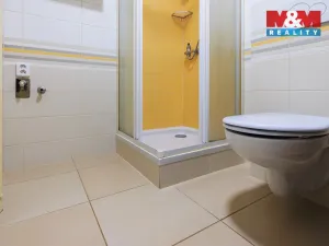 Pronájem bytu 1+1, Plzeň - Doubravka, Železničářská, 41 m2