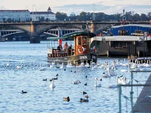 Prodej bytu 2+kk, Praha - Nusle, Bělehradská, 52 m2