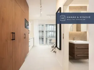 Pronájem bytu 1+kk, Brno, Koliště, 22 m2