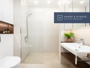 Pronájem bytu 1+kk, Brno, Koliště, 22 m2