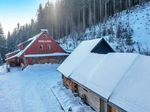 Prodej chalupy, Vítkovice, 500 m2