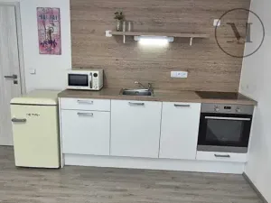 Pronájem bytu 1+kk, České Budějovice, Skuherského, 45 m2