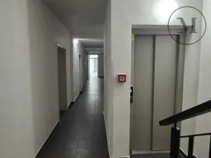 Pronájem bytu 1+kk, České Budějovice, Skuherského, 45 m2