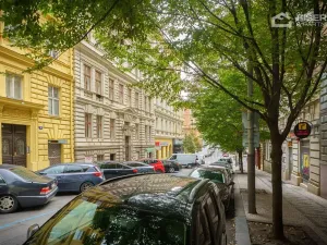 Pronájem bytu 3+1, Praha - Vinohrady, Balbínova, 106 m2