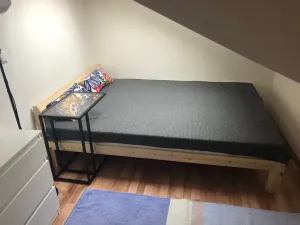 Pronájem bytu 1+kk, Praha - Michle, Čapkova, 25 m2