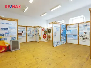 Prodej výrobních prostor, Dašice, náměstí T. G. Masaryka, 2490 m2