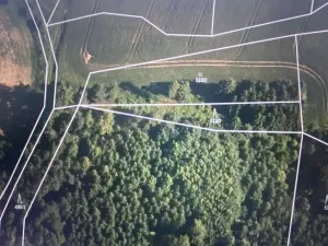 Prodej lesa, Čepřovice, 982 m2