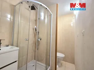 Pronájem bytu 1+1, Sokolov, Atletická, 40 m2