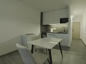 Pronájem bytu 1+kk, Dobřany, Sokolovská, 28 m2