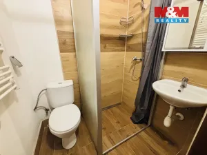 Prodej bytu 1+1, Dešná, 26 m2