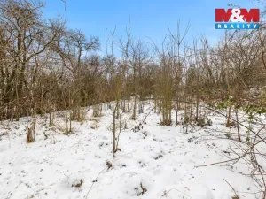 Prodej pozemku pro bydlení, Černolice, Mezi zahrádkami, 683 m2