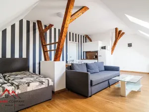 Pronájem bytu 1+kk, Ostrava, Cihelní, 43 m2