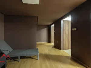 Pronájem bytu 1+kk, Ostrava, Cihelní, 43 m2