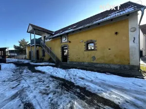 Pronájem bytu 4+kk, Plchov, 120 m2