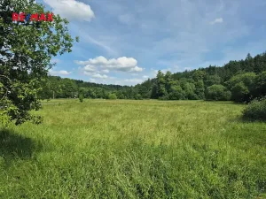 Prodej komerčního pozemku, Linhartice, 12284 m2