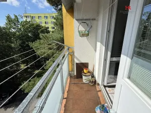 Prodej bytu 4+1, Hořice, Pod Lipou, 79 m2