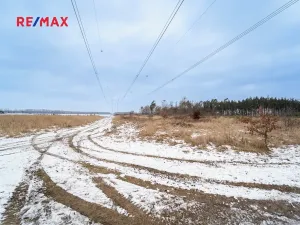 Prodej pole, Veltruby, 10898 m2