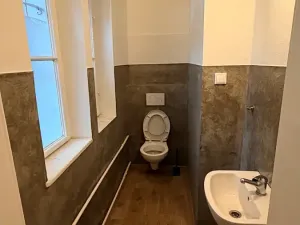 Pronájem obchodního prostoru, Ostrava, Mírová, 77 m2