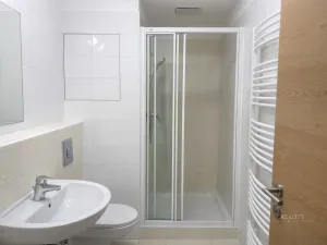 Pronájem bytu 1+kk, Brno - Líšeň, Horníkova, 30 m2