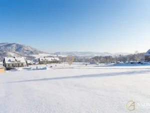 Prodej komerčního pozemku, Červená Voda, 1410 m2