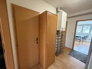 Pronájem bytu 1+1, Brno, Jircháře, 49 m2