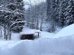 Pronájem bytu 2+1, Špindlerův Mlýn, 60 m2