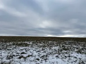 Dražba pole, Litoměřice, 8107 m2