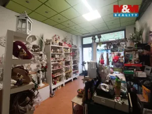 Pronájem obchodního prostoru, Ostrava - Moravská Ostrava, Nádražní, 35 m2