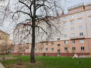 Prodej bytu 2+1, Brno, Bayerova, 75 m2