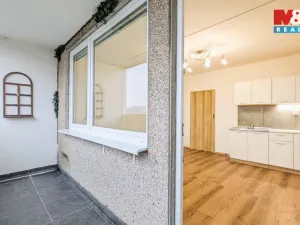 Pronájem bytu 1+kk, Praha - Troja, Svídnická, 28 m2