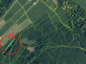 Prodej lesa, Poleň, 11901 m2