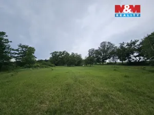 Prodej lesa, Tuřice, 7985 m2