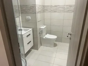 Pronájem bytu 1+1, Plzeň, Komenského, 36 m2