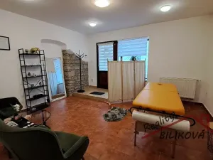 Pronájem obchodního prostoru, Brandýs nad Labem-Stará Boleslav, F. X. Procházky, 28 m2