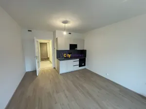 Pronájem bytu 1+kk, Praha - Hloubětín, Poděbradská, 30 m2