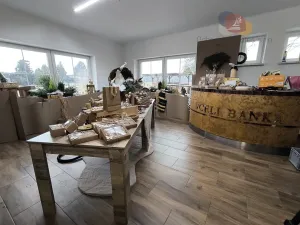 Prodej rodinného domu, Petrovice u Karviné, 993 m2