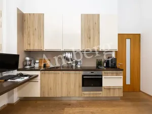 Pronájem bytu 2+kk, Praha - Smíchov, Staropramenná, 65 m2