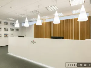 Pronájem kanceláře, Praha - Holešovice, Dělnická, 239 m2