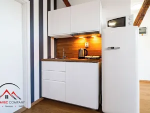 Pronájem apartmánu, Ostrava, Cihelní, 43 m2