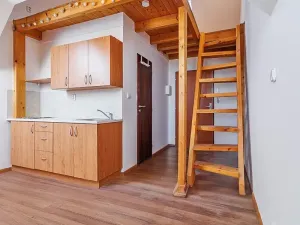 Pronájem bytu 1+kk, Olomouc, Masarykova třída, 21 m2