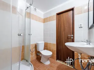 Pronájem bytu 1+kk, Olomouc, Masarykova třída, 21 m2