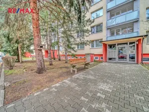 Pronájem bytu 1+1, Mladá Boleslav, 17. listopadu, 40 m2