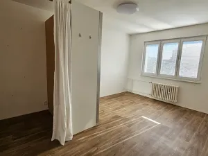 Pronájem bytu 2+1, Praha - Veleslavín, Čílova, 54 m2