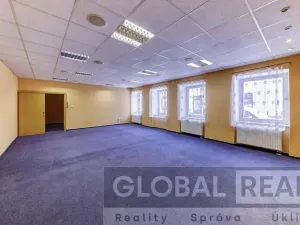 Prodej obchodního prostoru, Svitavy, Vojanova, 401 m2