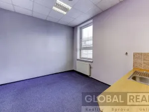 Prodej obchodního prostoru, Svitavy, Vojanova, 401 m2